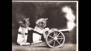 Cute Kittens in Funny Human Outfits - cats wearing clothing and acting like people