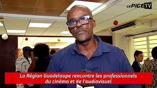 La R&eacute;gion Guadeloupe rencontre les professionnels du cin&eacute;ma et de l'audiovisuel
