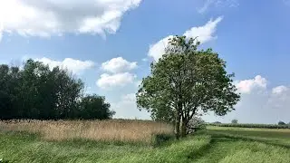 Lekker wandelen in het Natuurgebied Avelingen in Gorinchem : een reportage van Catherine Boone