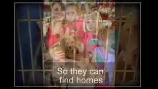 Help Phoenix Paws & Claws Continues to Save animals