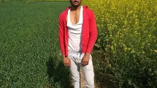 Royal Sarkar Hamindpur