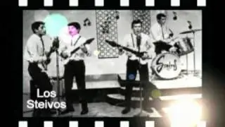 HOMENAJE A LOS STEIVOS