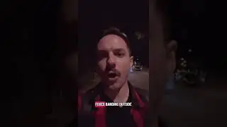 Canadian In UK Shocked By Frisky Foxes
