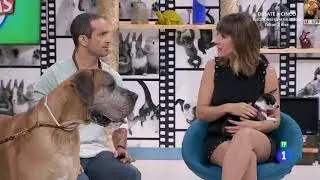 Sandra daviu 8