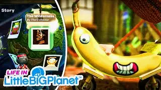 Life In LittleBigPlanet