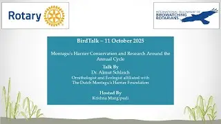 BirdTalk: Montagu's Harrier Conservation and Research Around the Annual Cycle