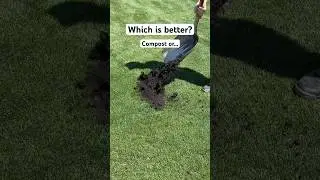 Compost or Sand? #compost #sand #leveling #lawnleveling #organic