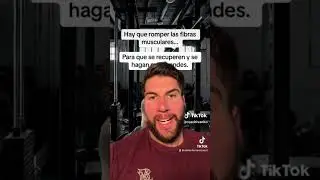 Dolor muscular VS hipertrofia!