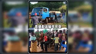 奥德彪这次接到了运输一车可可豆