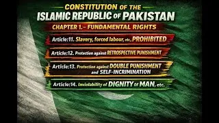 Articles 11&ndash;14 Fundamental Rights Every Pakistani Must Know | Slavery, Punishment & Human Dignity