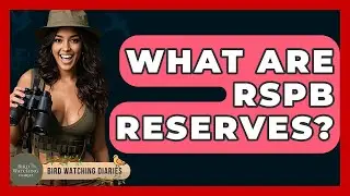 What Are RSPB Reserves? - Bird Watching Diaries