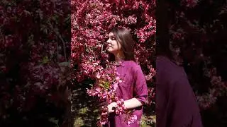 La Vie En Rose - Edith Piaf (cover) 