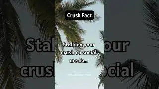 Stalking your #crush on #social media ......