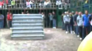 Toros Bugarra.AVI