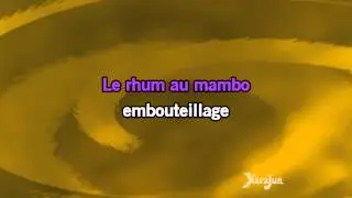 Karaoké Joe le taxi - Vanessa Paradis *