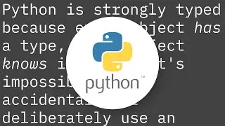 How do Python functions handle the types of parameters that you pass in?