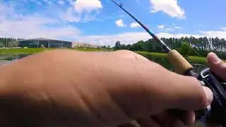 Zoom Speed Craw