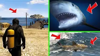 ДЕТЕНЫШ МЕГАЛОДОНА ОБНАРУЖЕН В ГТА 5 | МЕГАЛОДОН В ГТА 5 | GTA 5 MEGALODON | MEGALODON GTA 5 | SHARK