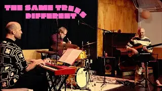 Tom Richards Trio - The Same Tree / Different Trees - Live in Canning