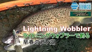 ライトニングウォブラーで攻略する早春の芦ノ湖