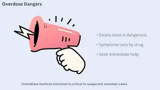 Understanding Drug Actions and Reactions (13 Minutes)