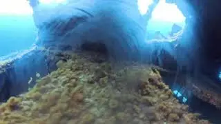 Elba Freediving Wrack Elviscot Pomonte 2,  4k 360&deg;