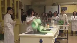 chemical laboratory scene #chemistry