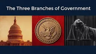 The Three Branches of Government: Constitutional Checks and Balances