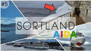 WELLENFLUG auf KREUZFAHRT mit AIDABella in SORTLAND #aida #wellen