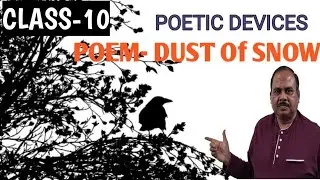 DUST Of SNOW- POETIC DEVICES