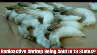 FDA Warns Public To Avoid Shrimp CONTAMINATED With Radioactive Materials!