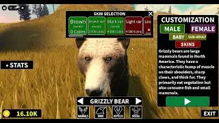 Bear eyes change blue as a cub orange as a sum adult in Yellowstone unleashed 