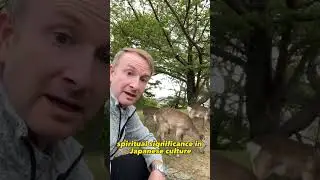 🦌 Read this! People and animals coexisting together as if it&rsquo;s totally normal
