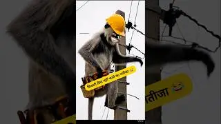 बिजली बिल नहीं भरने का नतीजा 😂🤣 #thetharpuns #munnakumarfun #funny #bijlibill #electrician #