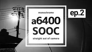 monochrome snap sony a6400 ep.2 | straight out of camera setting | sel20f28