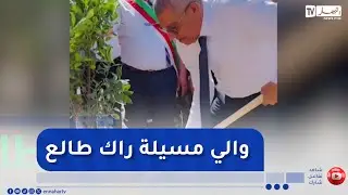 طالع هابط : النوي يحيي والي ولاية مسيلة بعد تشجيعه ودعمه معنويا لشاب يتطوع لغرس الأشجار