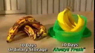 Always Fresh Container Commercial - As Seen on TV