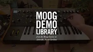 Subsequent 37 | Looping Envelopes