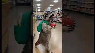 Late Night Snack Run