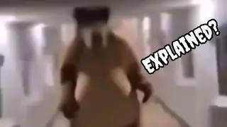 Bear chasing person down hall Explained