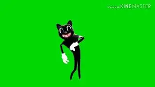 Футаж картун кет
