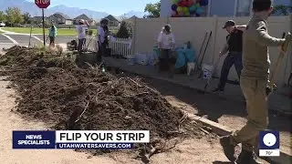 Officials flip the parking strips of four Salt Lake County homes