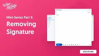 WiseStamp for Solo Mini Series Part 3: Removing the Signature