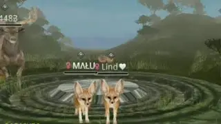Wild Animals Online: Why i can't use Gameguardian + Fennec Gameplay