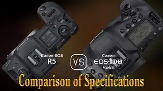 Canon EOS R5 vs. Canon EOS-1D X Mark III: A Comparison of Specifications