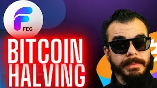 Feg Token News | SmartDefi Testing  | Bitcoin Halving