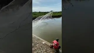 Documentary of fisherman in the real life in Asia #water #fishing #fishingworld #bigfish