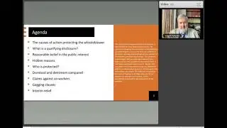 Webinar Preview: Whistleblowing: causation, interim relief, compensation and settlement