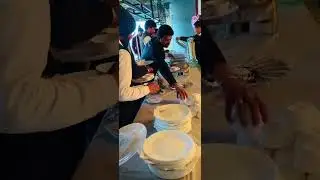 Jaipur Dogma Soft Injoy!#shorts #ytshorts #video #video #enjoy #jaipur #dogma