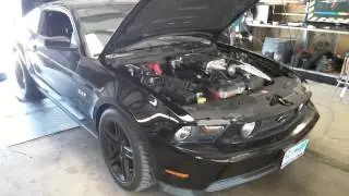 HPP RACING 2011 5.0 with 3.6 kb